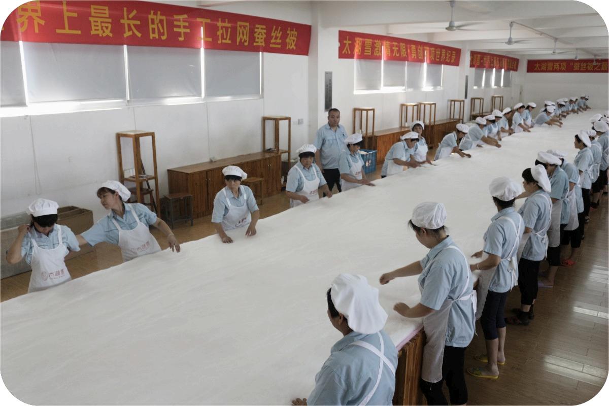 Taihu Snow Seidendecken stellen Weltrekorde auf