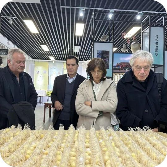 Taihu Schneeseidenkunden (8)